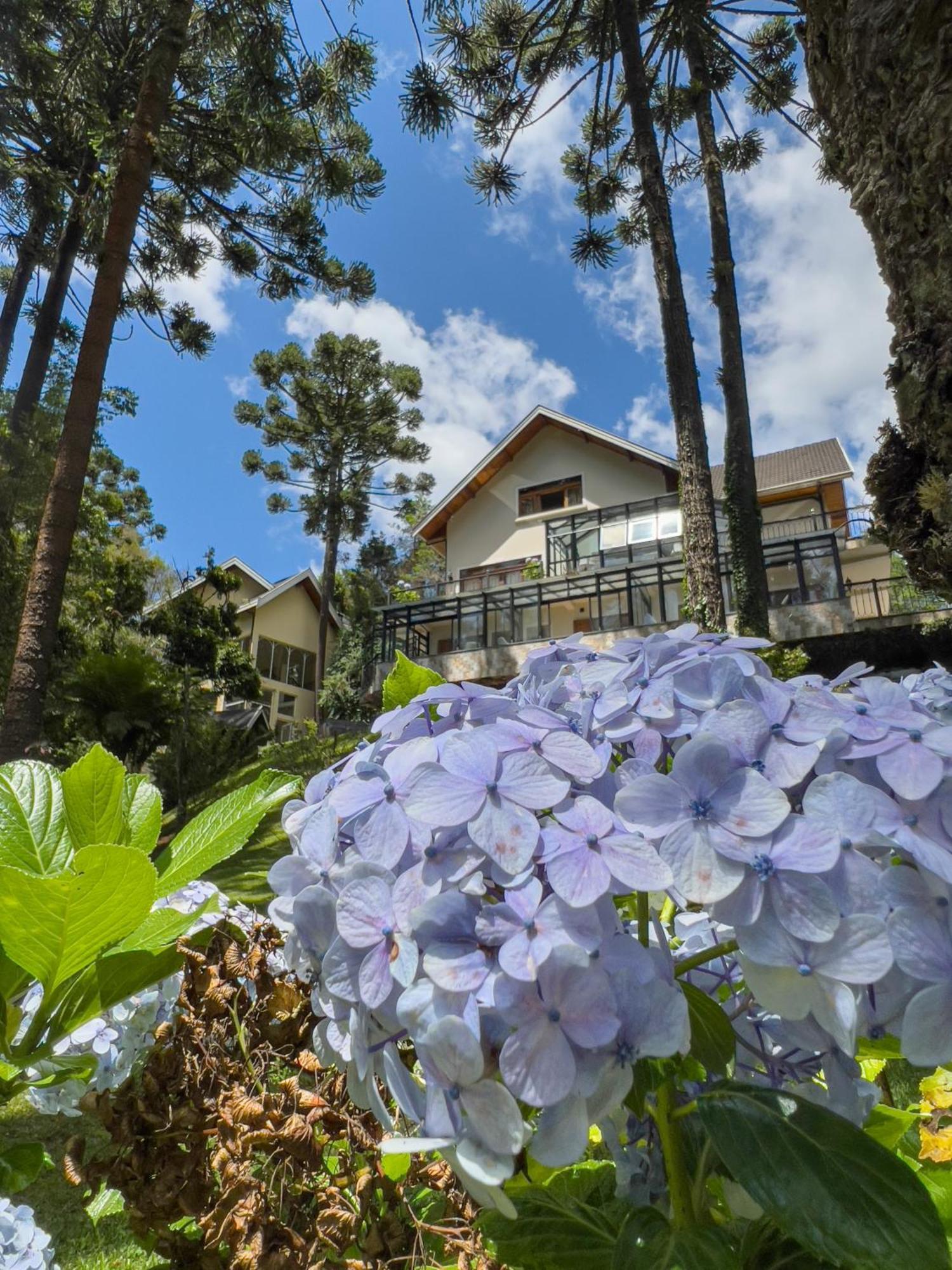 Araucaria Lodge Campos do Jordao Exterior photo